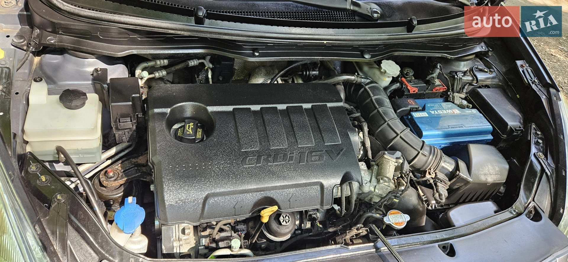 2011 Hyundai i20 - мініатюра 4