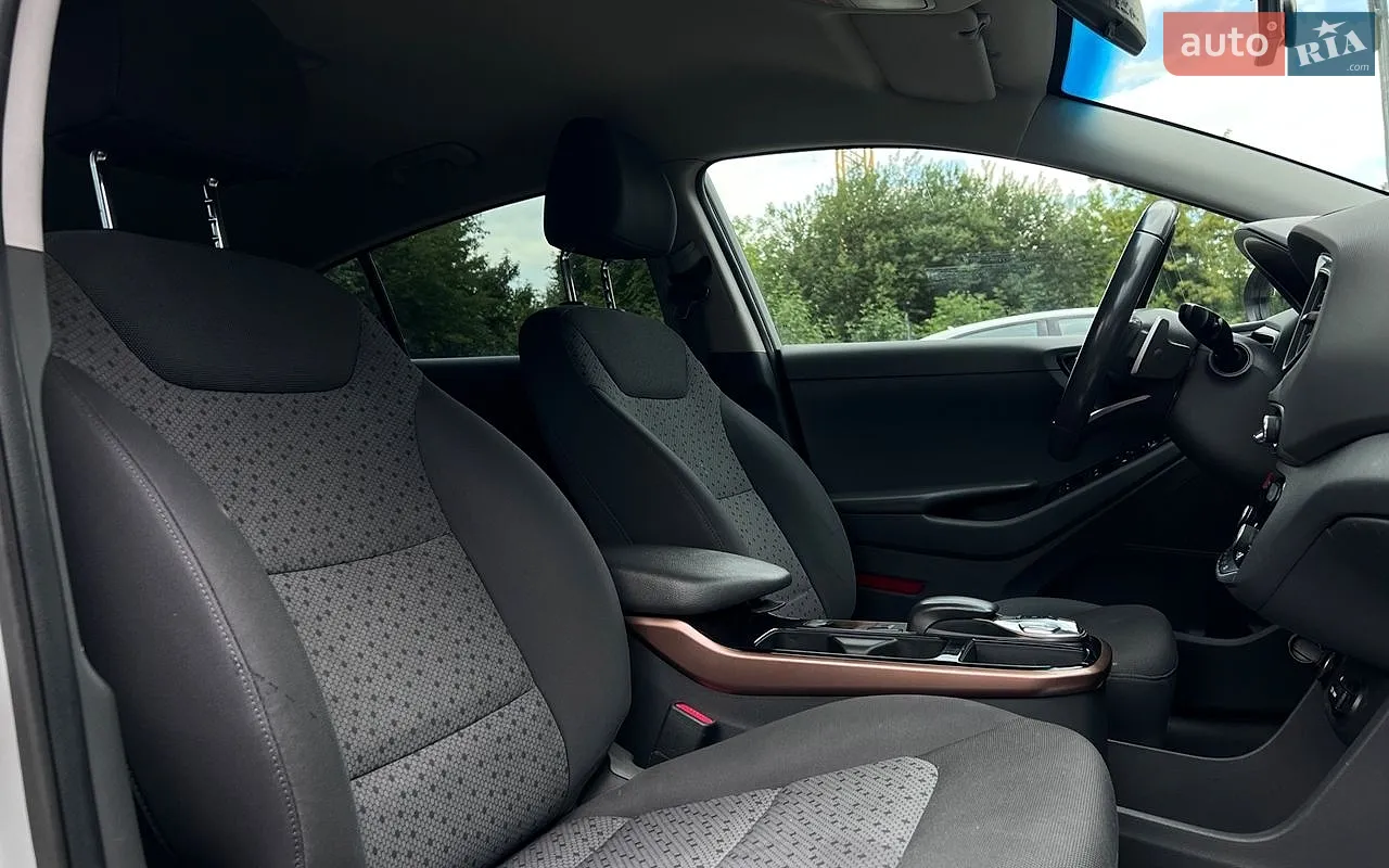 2018 Hyundai IONIQ - мініатюра 24