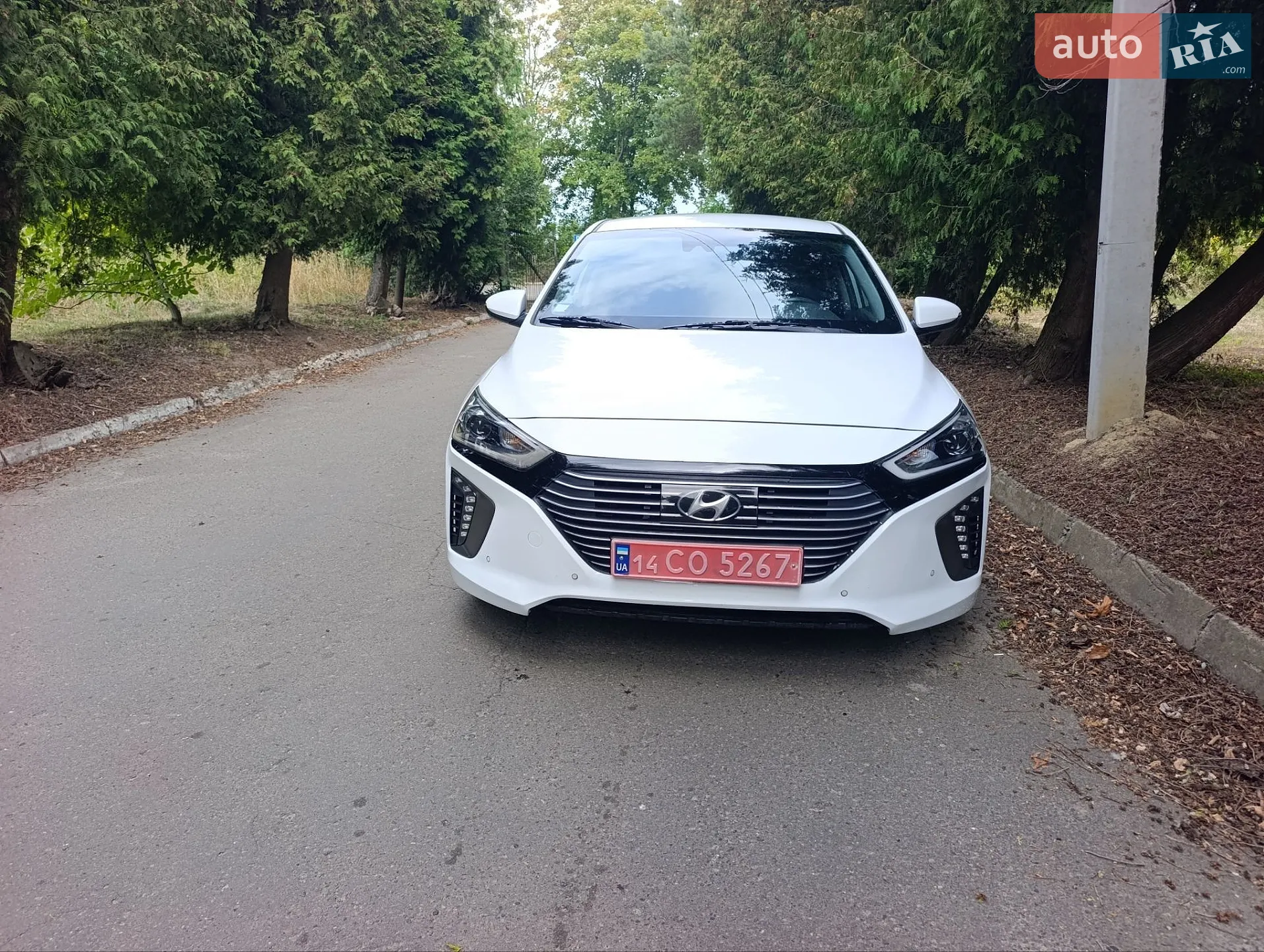 2019 Hyundai IONIQ - мініатюра 2