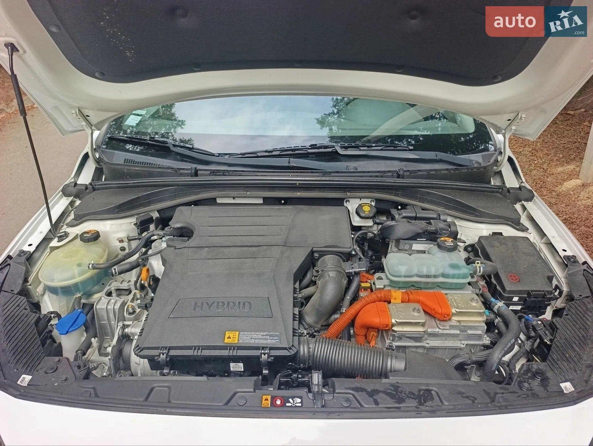 2019 Hyundai IONIQ - мініатюра 13