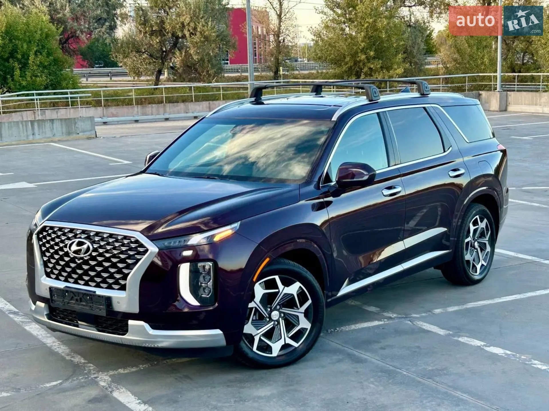 2021 Hyundai Palisade - мініатюра 8