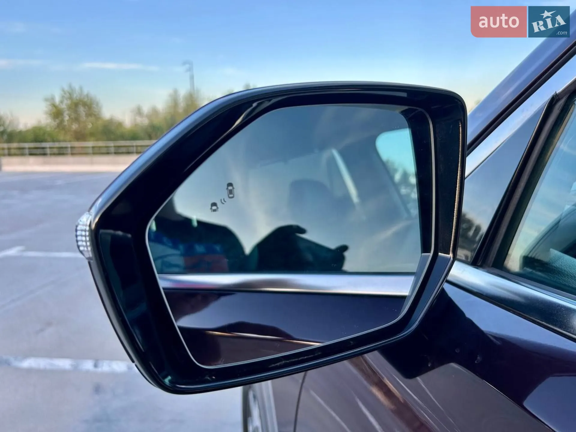 2021 Hyundai Palisade - мініатюра 23