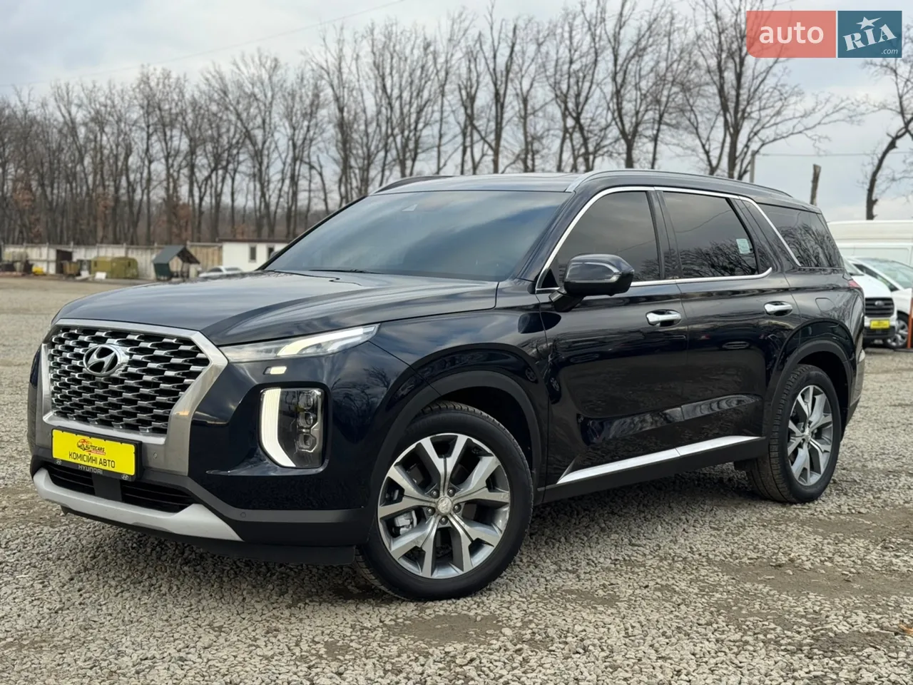 2020 Hyundai Palisade - мініатюра 13