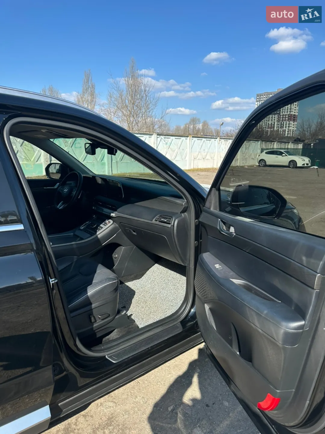2020 Hyundai Palisade - мініатюра 26