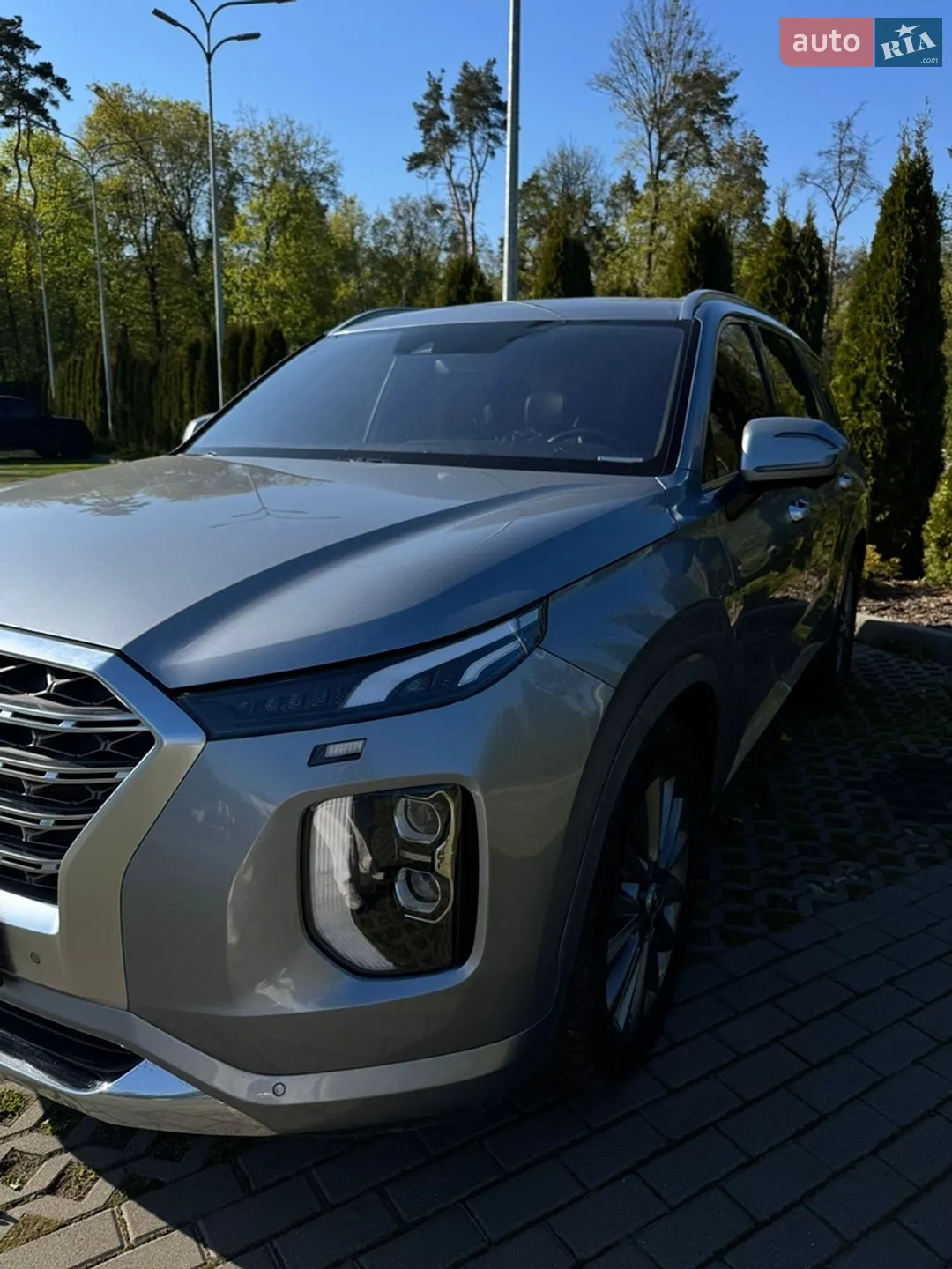 2019 Hyundai Palisade - мініатюра 10