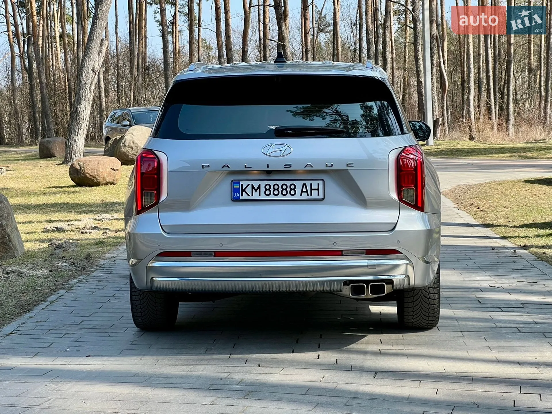 2022 Hyundai Palisade - мініатюра 10