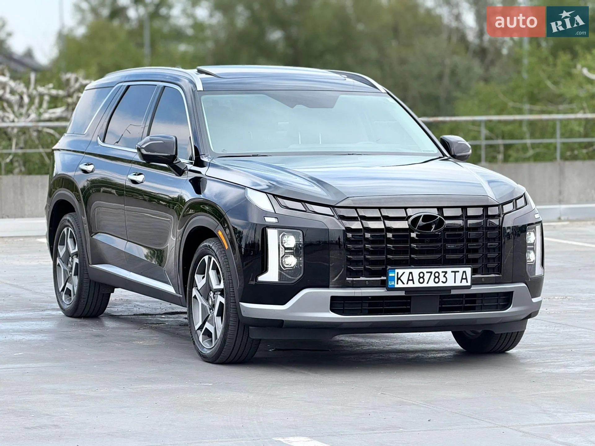 2022 Hyundai Palisade - мініатюра 4