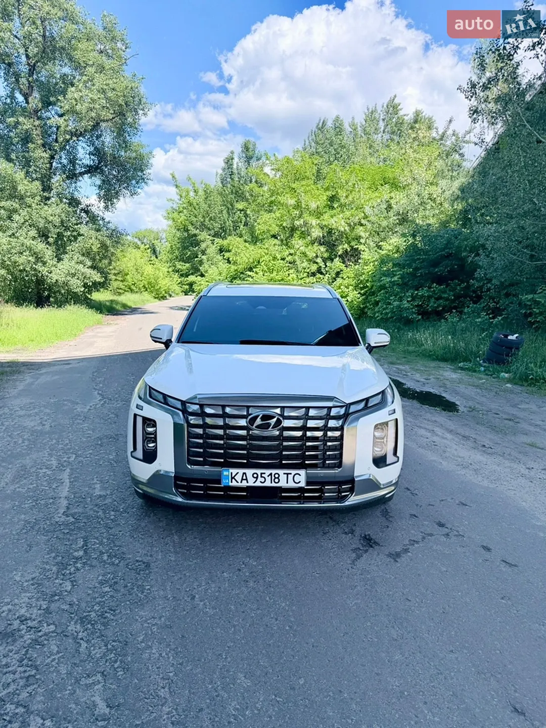 2024 Hyundai Palisade - мініатюра 22