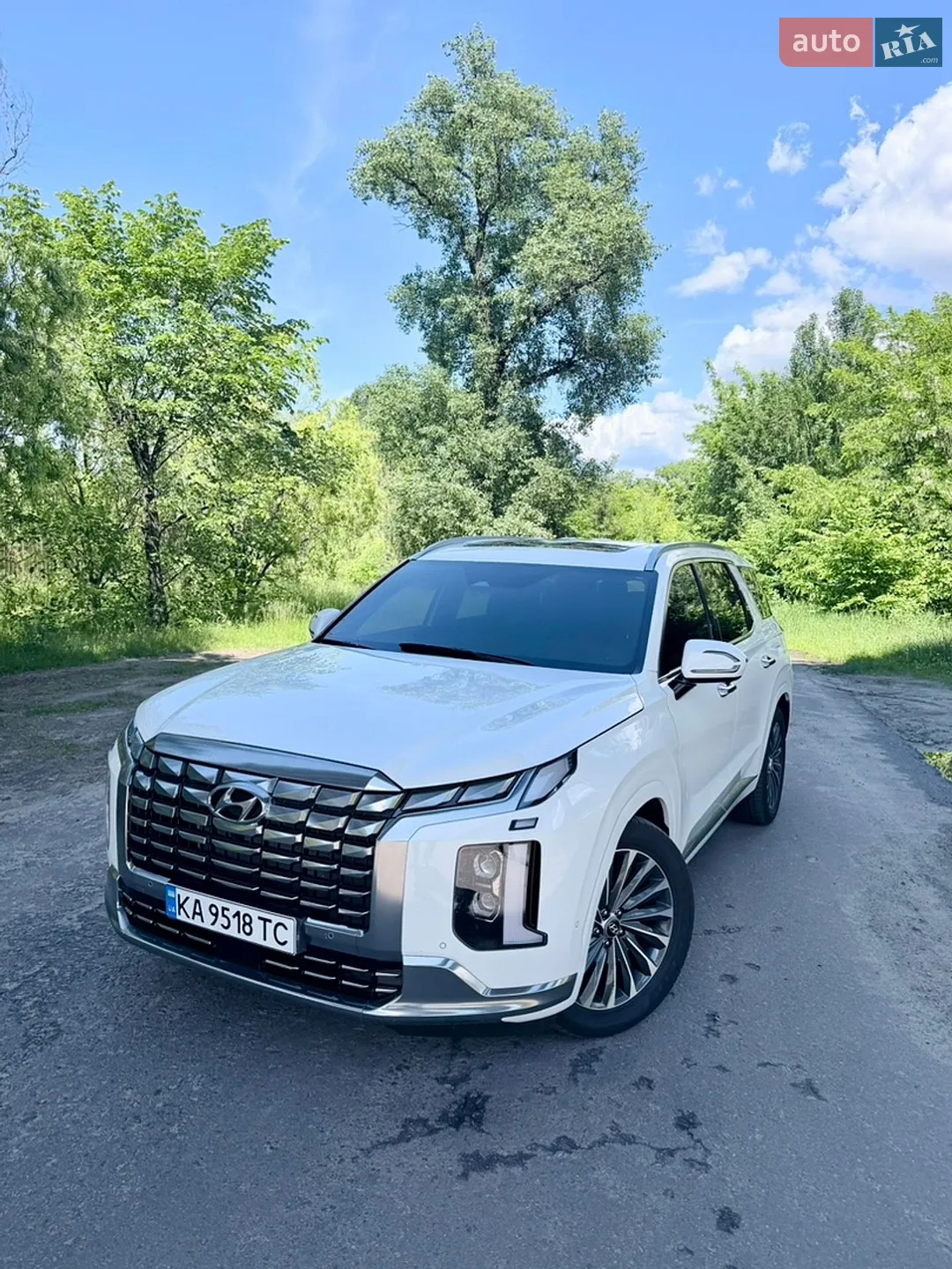 2024 Hyundai Palisade - мініатюра 8