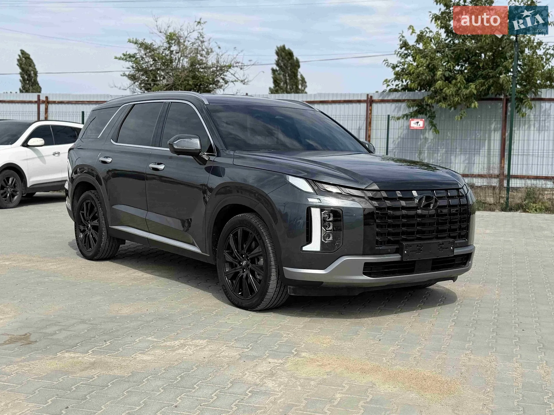 2022 Hyundai Palisade - мініатюра 6