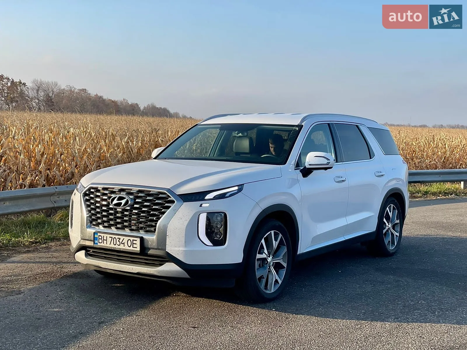 2021 Hyundai Palisade - мініатюра 3