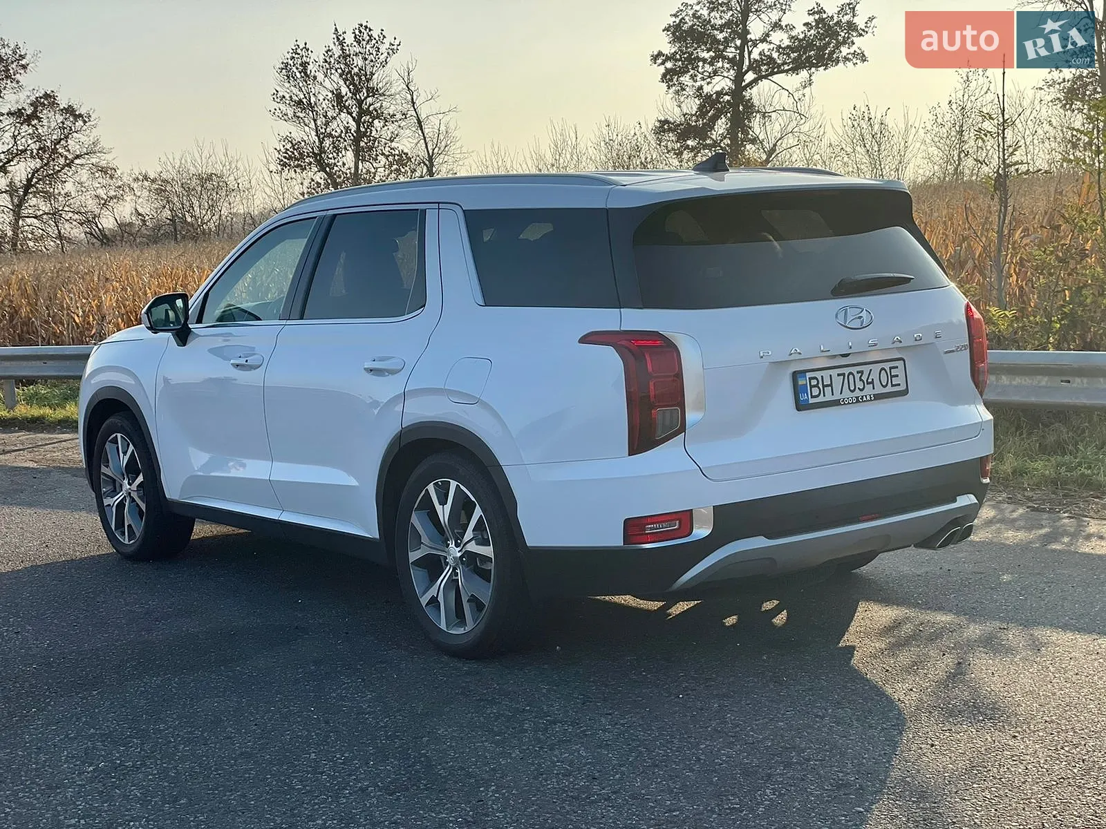 2021 Hyundai Palisade - мініатюра 2
