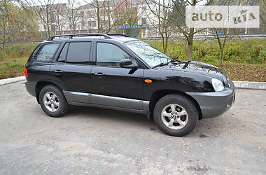 Внедорожник / Кроссовер Hyundai Santa FE 2004 в Шепетовке