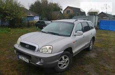 Внедорожник / Кроссовер Hyundai Santa FE 2004 в Жмеринке