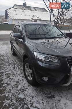 Внедорожник / Кроссовер Hyundai Santa FE 2009 в Бучаче