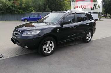 Внедорожник / Кроссовер Hyundai Santa FE 2006 в Житомире