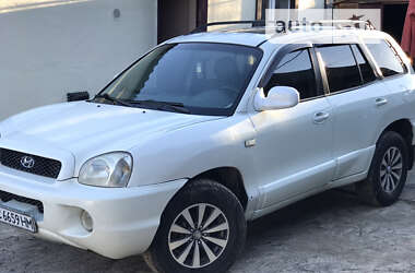 Внедорожник / Кроссовер Hyundai Santa FE 2001 в Киверцах