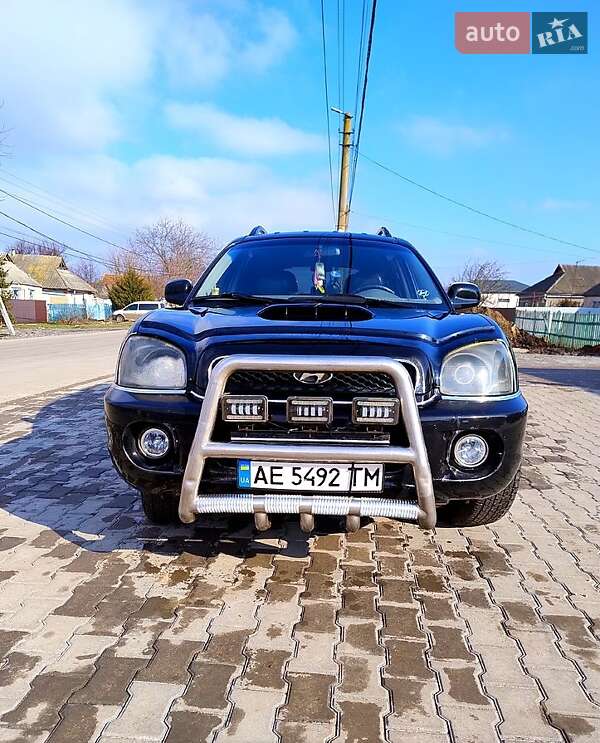 Позашляховик / Кросовер Hyundai Santa FE 2003 в Новому Бузі фото 6 Позашляховик / Кросовер Hyundai Santa FE 2003 в Новому Бузі