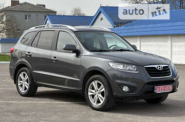 Внедорожник / Кроссовер Hyundai Santa FE 2010 в Радивилове