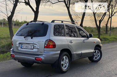 Внедорожник / Кроссовер Hyundai Santa FE 2002 в Ужгороде