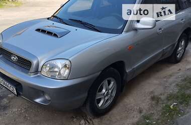 Внедорожник / Кроссовер Hyundai Santa FE 2002 в Виннице