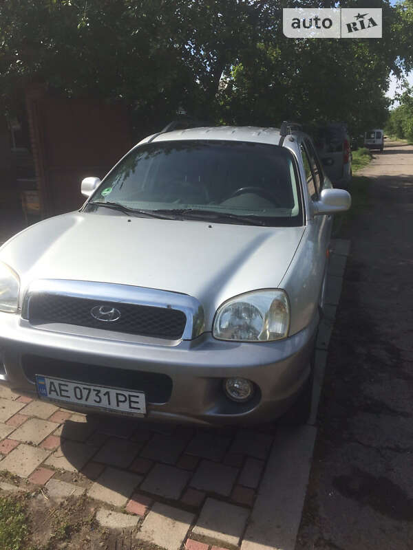 Внедорожник / Кроссовер Hyundai Santa FE 2004 в Кривом Роге