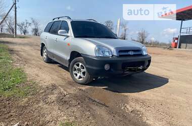 Внедорожник / Кроссовер Hyundai Santa FE 2005 в Херсоне