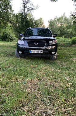 Внедорожник / Кроссовер Hyundai Santa FE 2008 в Чорткове