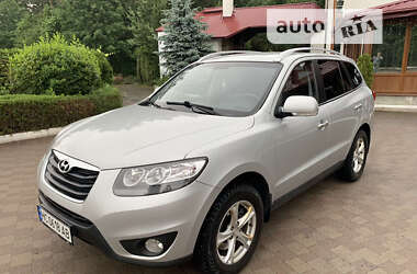 Внедорожник / Кроссовер Hyundai Santa FE 2010 в Львове