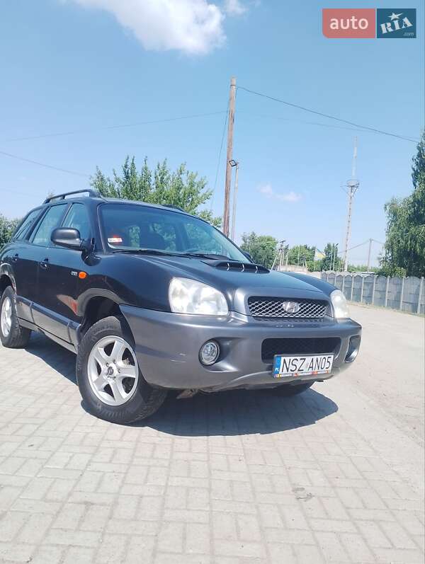 Внедорожник / Кроссовер Hyundai Santa FE 2003 в Днепре