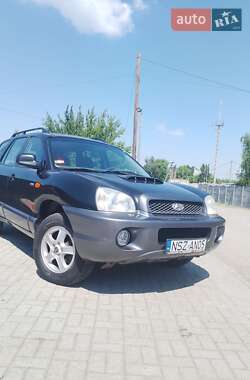 Внедорожник / Кроссовер Hyundai Santa FE 2003 в Днепре