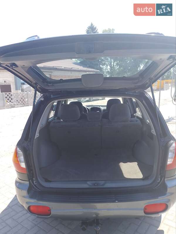Внедорожник / Кроссовер Hyundai Santa FE 2003 в Днепре