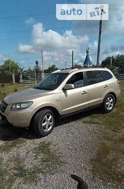 Внедорожник / Кроссовер Hyundai Santa FE 2006 в Городке