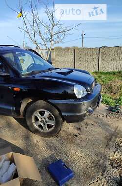 Позашляховик / Кросовер Hyundai Santa FE 2003 в Краматорську