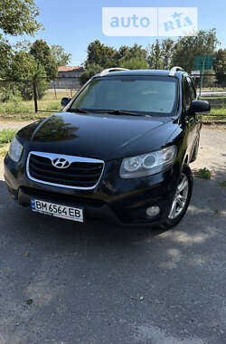 Внедорожник / Кроссовер Hyundai Santa FE 2010 в Лохвице