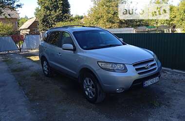 Внедорожник / Кроссовер Hyundai Santa FE 2006 в Борщеве