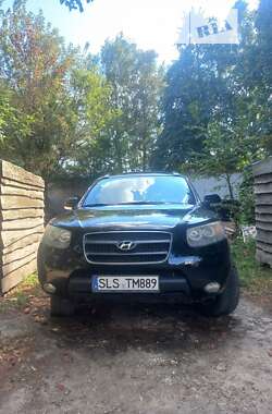 Позашляховик / Кросовер Hyundai Santa FE 2008 в Житомирі