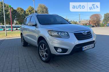 Позашляховик / Кросовер Hyundai Santa FE 2010 в Житомирі