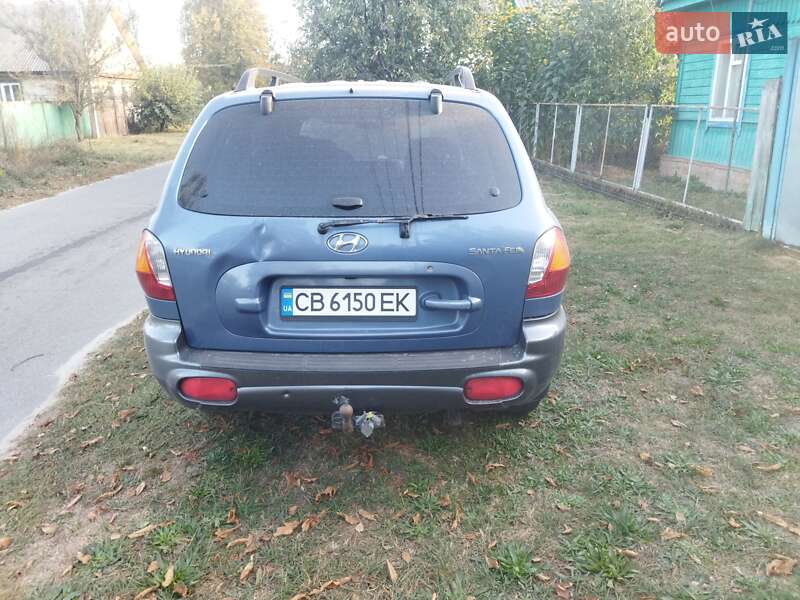 Внедорожник / Кроссовер Hyundai Santa FE 2002 в Городне
