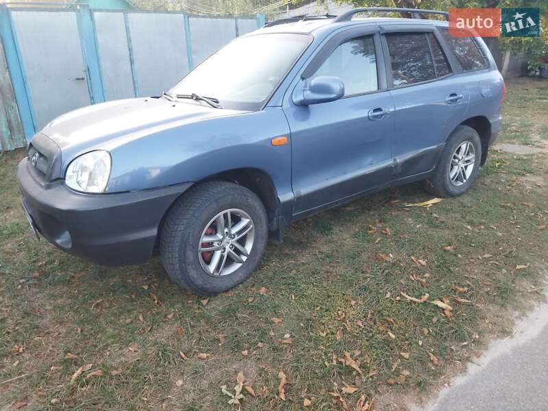 Внедорожник / Кроссовер Hyundai Santa FE 2002 в Городне