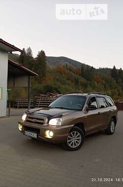 Внедорожник / Кроссовер Hyundai Santa FE 2005 в Верховине