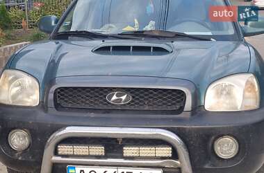 Внедорожник / Кроссовер Hyundai Santa FE 2002 в Гайсине