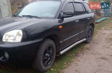 Позашляховик / Кросовер Hyundai Santa FE 2003 в Сквирі