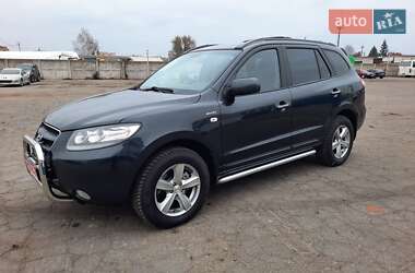 Внедорожник / Кроссовер Hyundai Santa FE 2009 в Полтаве