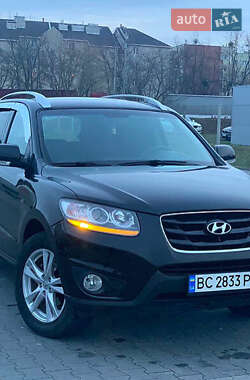 Позашляховик / Кросовер Hyundai Santa FE 2010 в Сумах