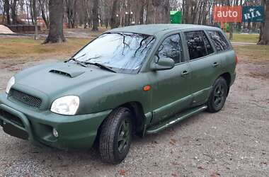 Позашляховик / Кросовер Hyundai Santa FE 2002 в Бучі