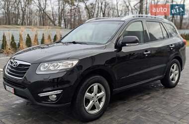 Позашляховик / Кросовер Hyundai Santa FE 2011 в Луцьку