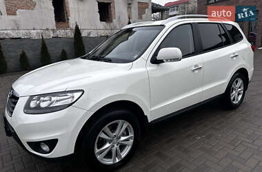 Позашляховик / Кросовер Hyundai Santa FE 2010 в Рівному