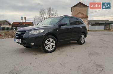 Позашляховик / Кросовер Hyundai Santa FE 2008 в Звягелі