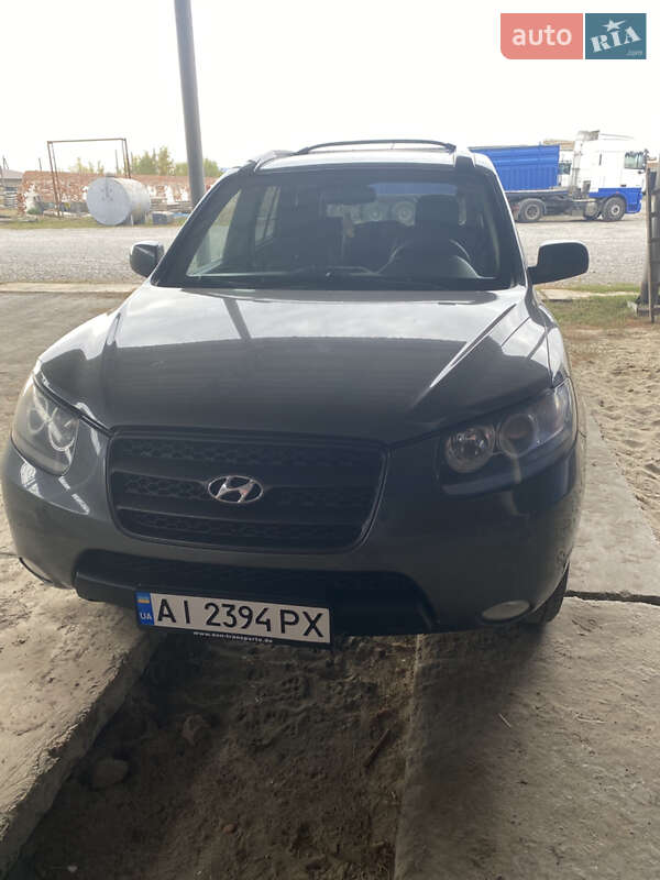 Внедорожник / Кроссовер Hyundai Santa FE 2006 в Ставище